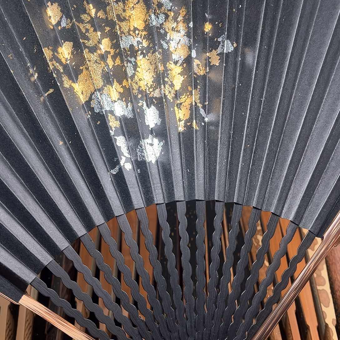 扇子爆炸金龙鳞棕竹