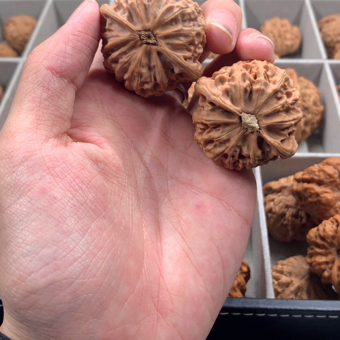 文玩核桃吊坠杨**-宫灯