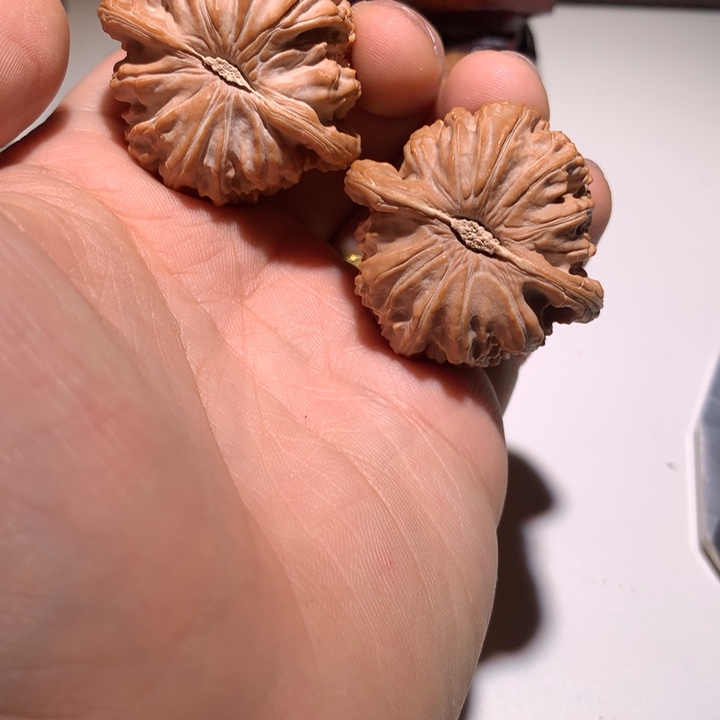 把件文玩核桃家***_白狮子