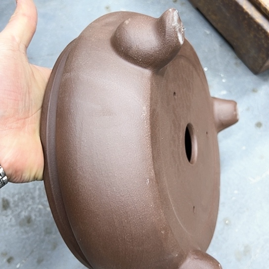 红陶紫砂花盆漂亮