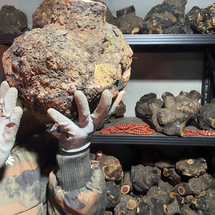 宝***舅香榧木火琉璃的故事是一个人