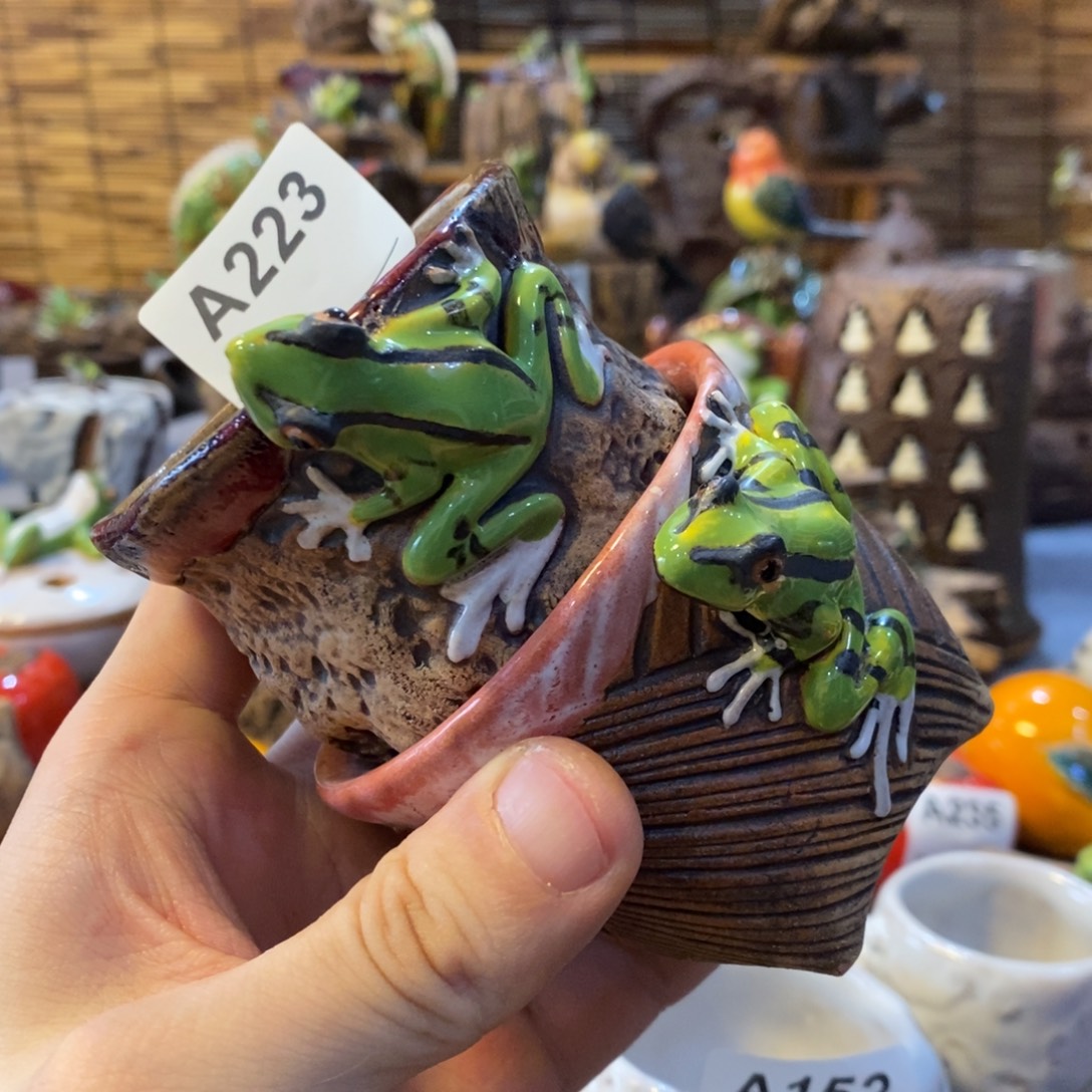 和***贵陶陶陶陶陶陶陶陶