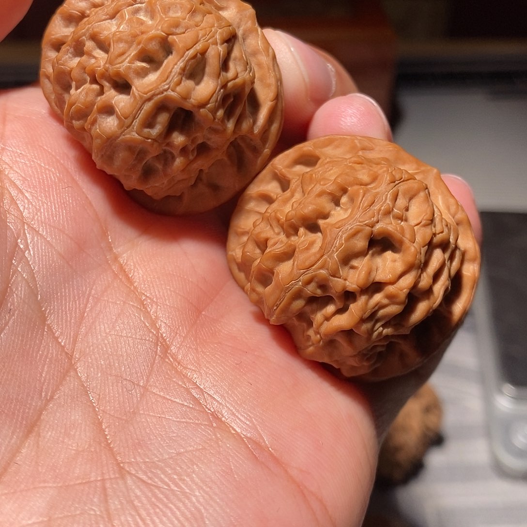 文玩核桃把件019高端小众金丹文玩核桃36尺