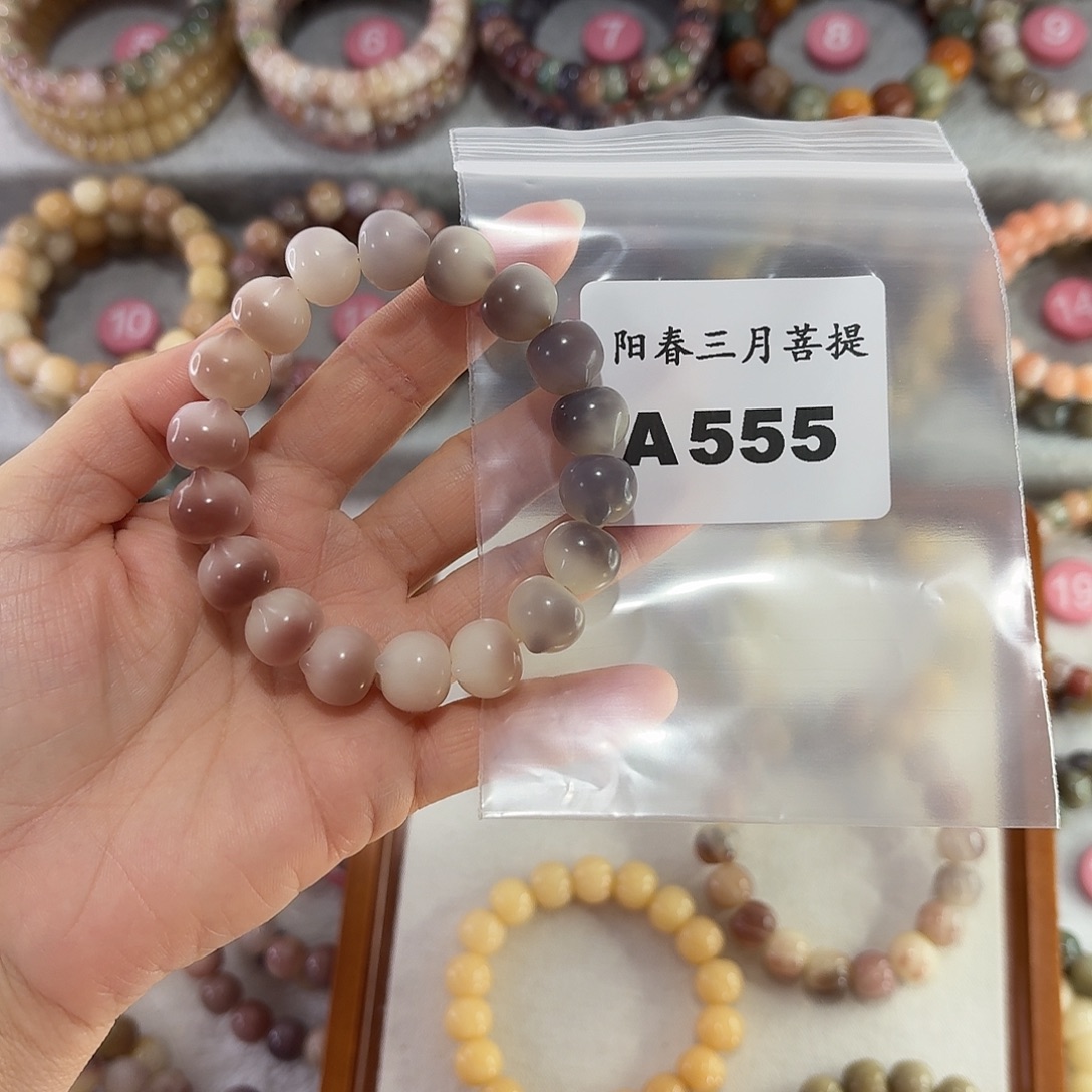 小***.菩提根/象牙果吊坠