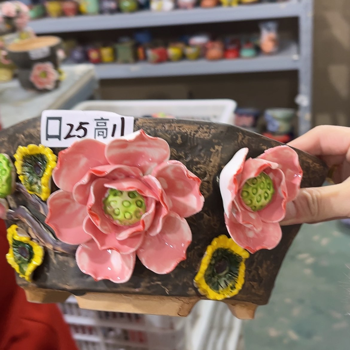 【闪购商品】红陶福利