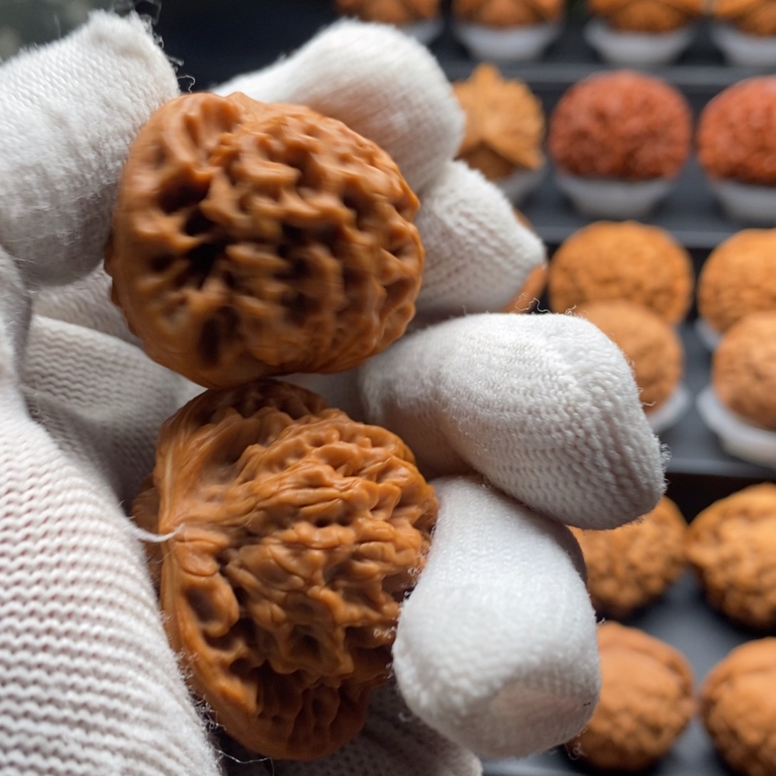 文玩核桃把件萝***.核为贵