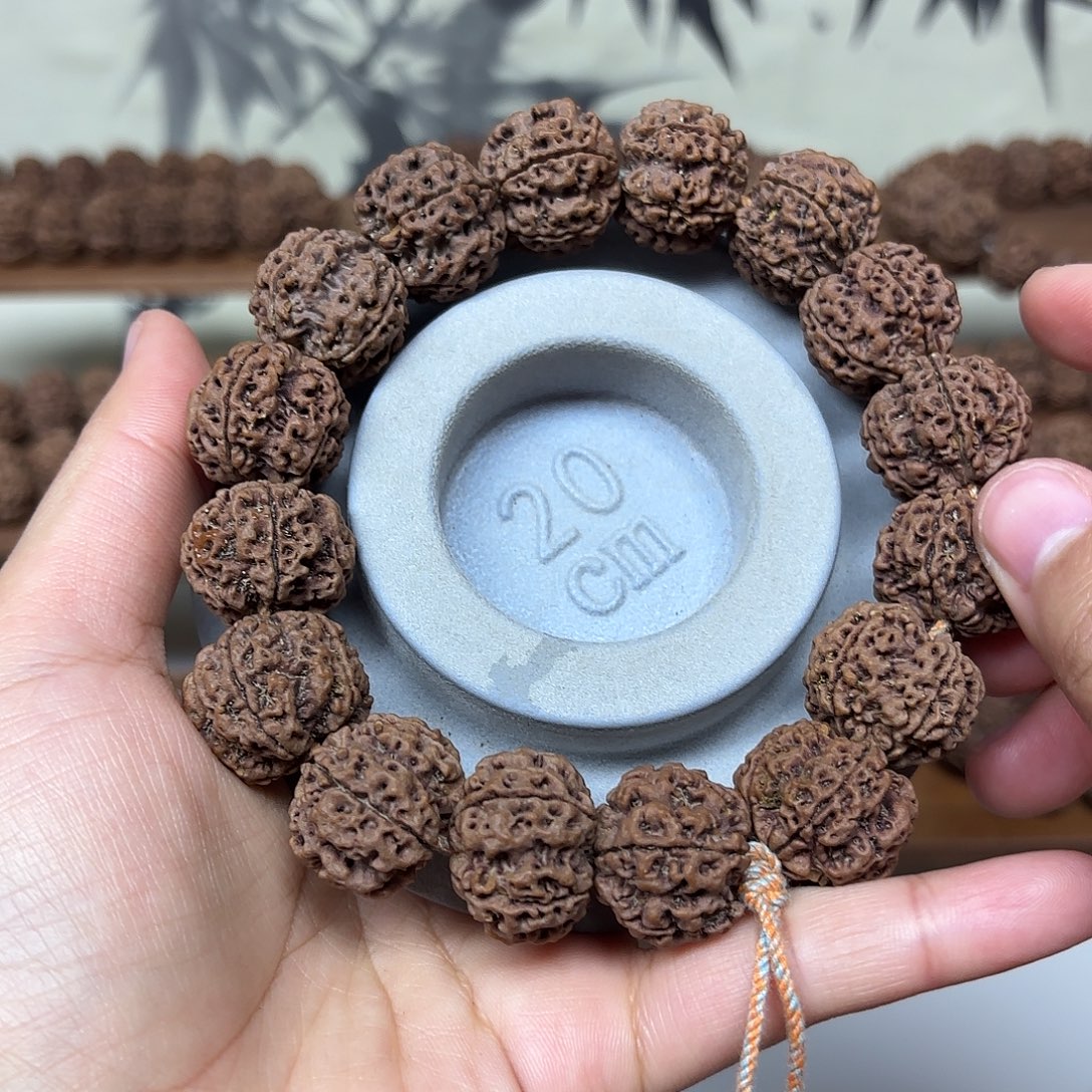 吊坠金刚菩提21原生态大金菩提树籽