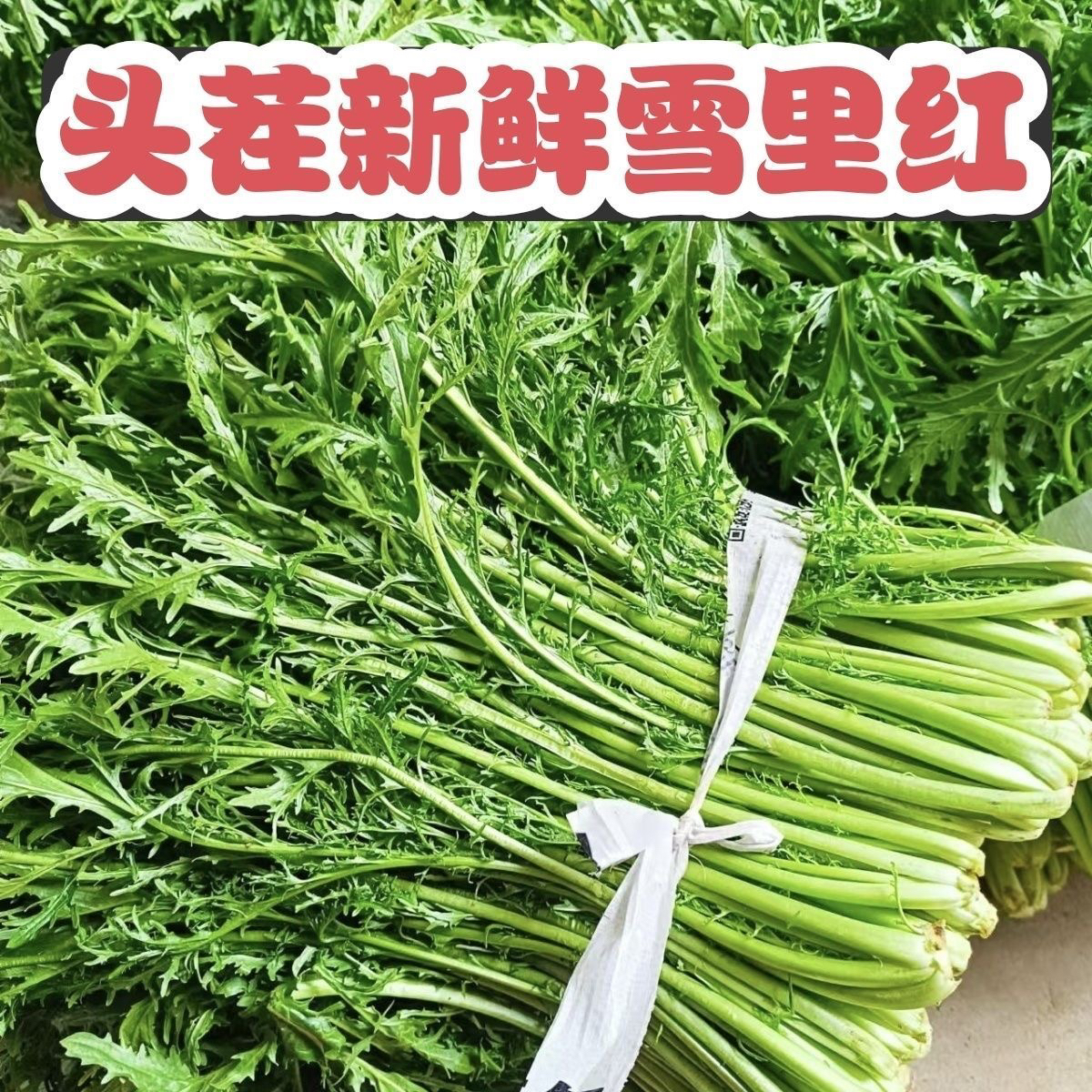 新鲜雪里红农家自种雪菜腊菜现挖现发当季露天青菜