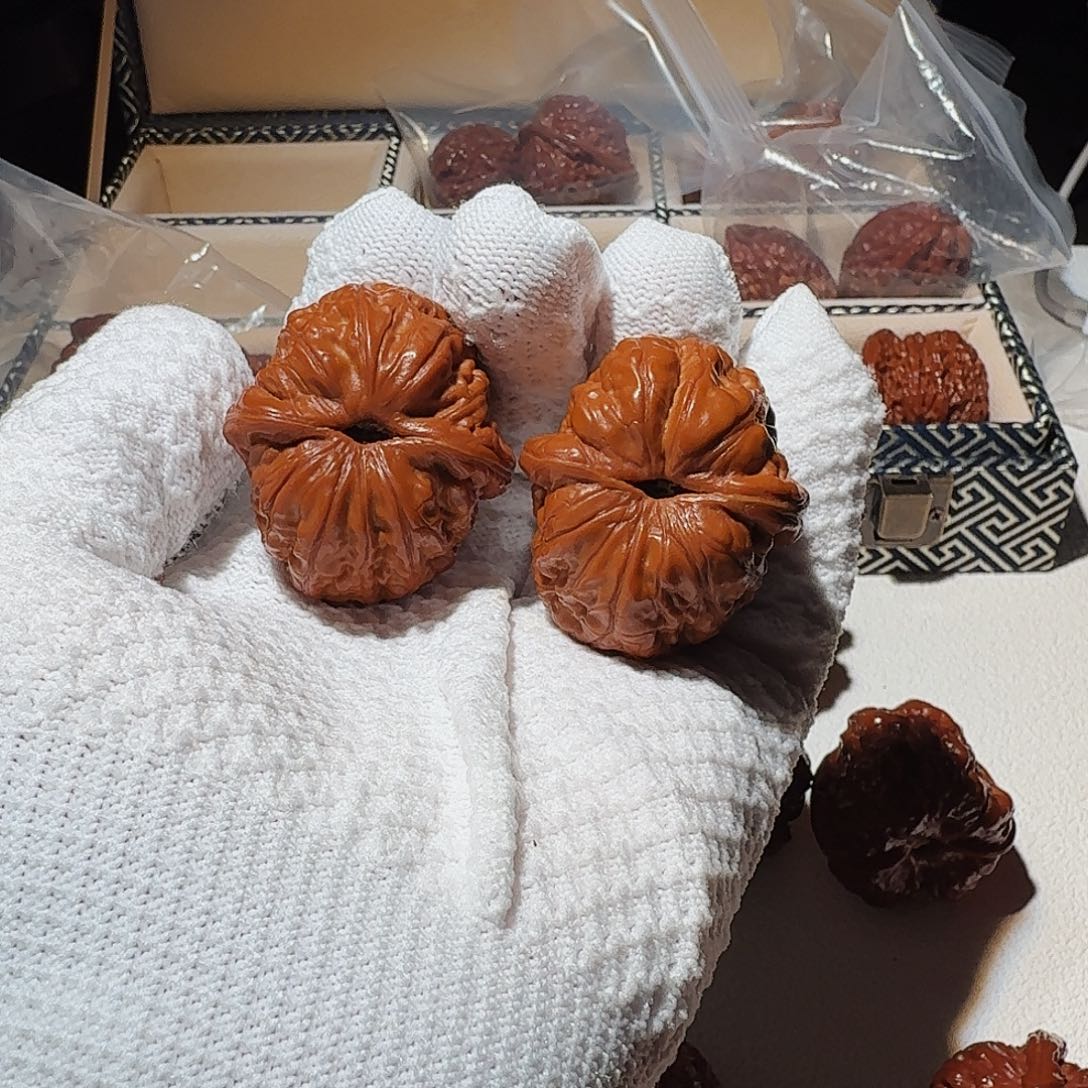 文玩核桃把件L**J精品文玩核桃元宝