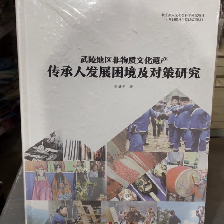 武陵地区非物质文化遗产传承人发展困境及对策研究