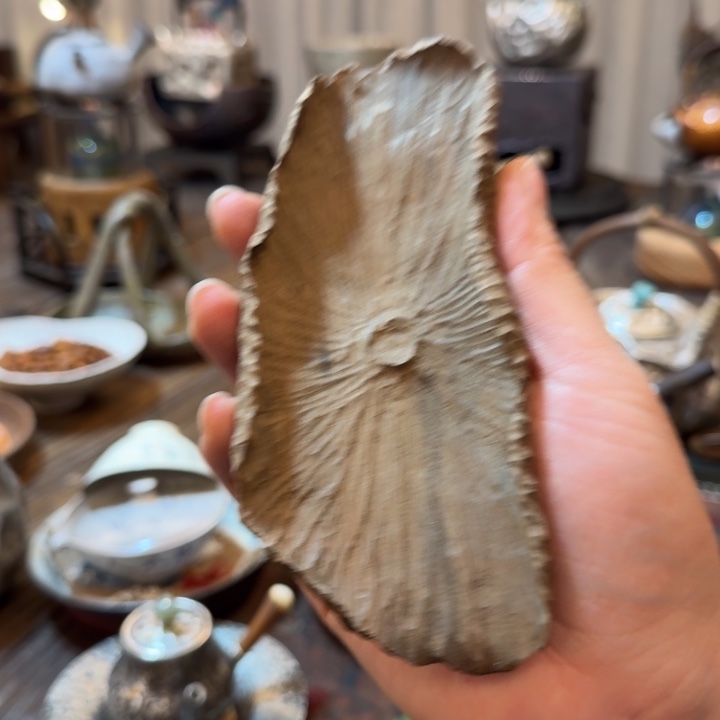 木茶则茶则茶则茶则