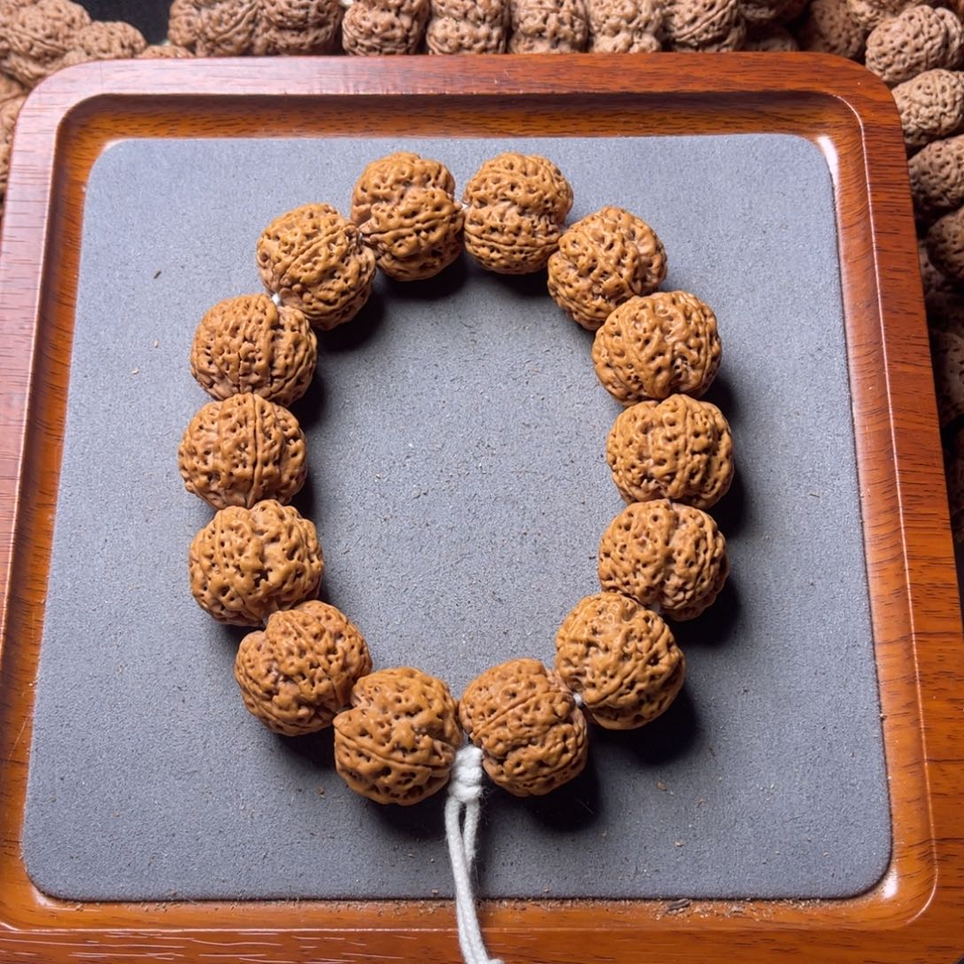 菩提籽类12号金刚菩提满肉双龙24