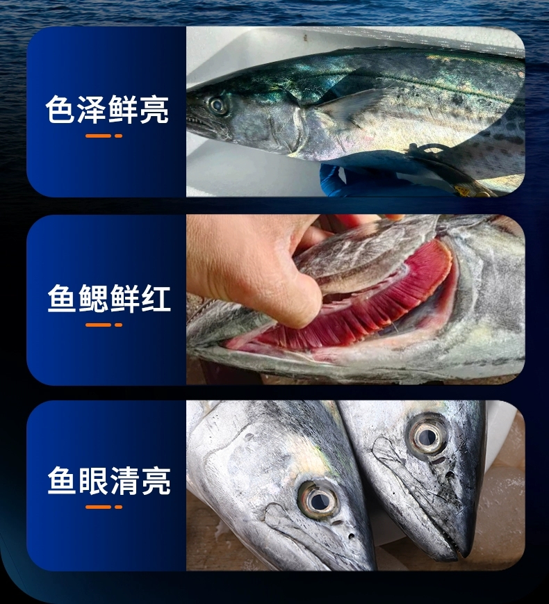 小潘海鲜 青岛发货 省外链接