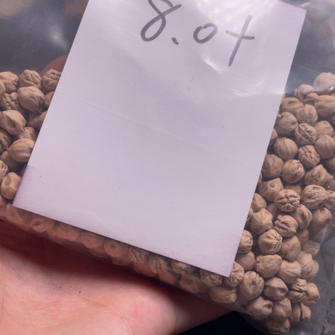 D***g大理石磁石白牙吞噬 没挑坏的 8➕尺寸