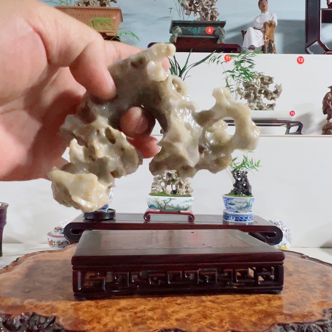 自***牧无花朵盆景，玲珑石，菖蒲，