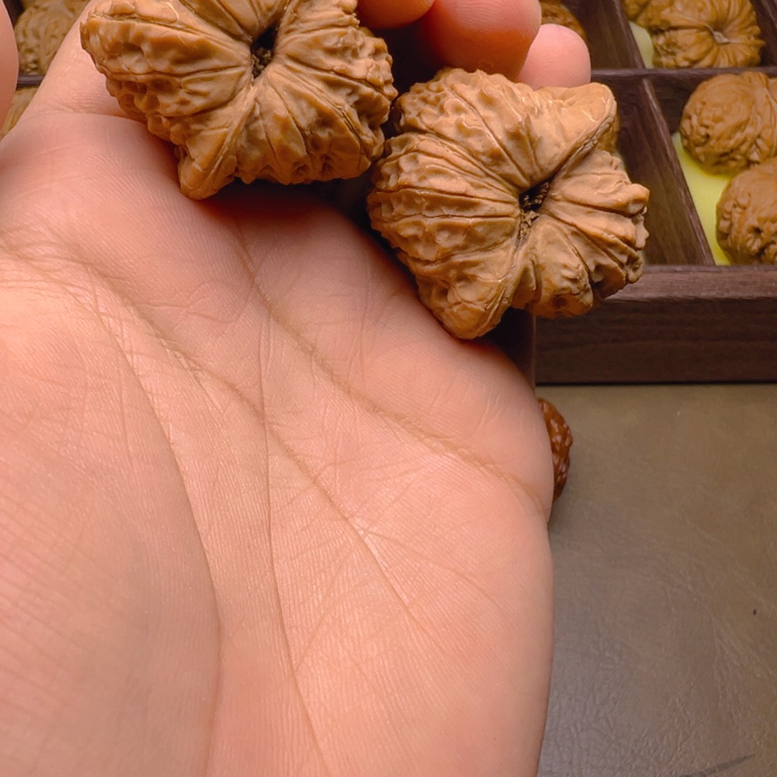 把件文玩核桃37尺血麒麟