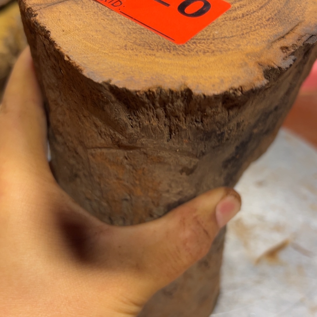 大果紫檀（缅甸花梨）