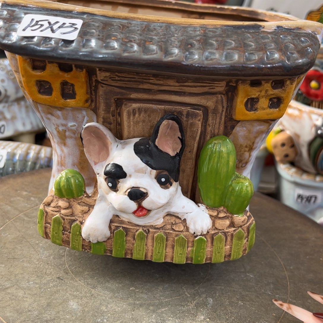 凑满15包邮发货发货