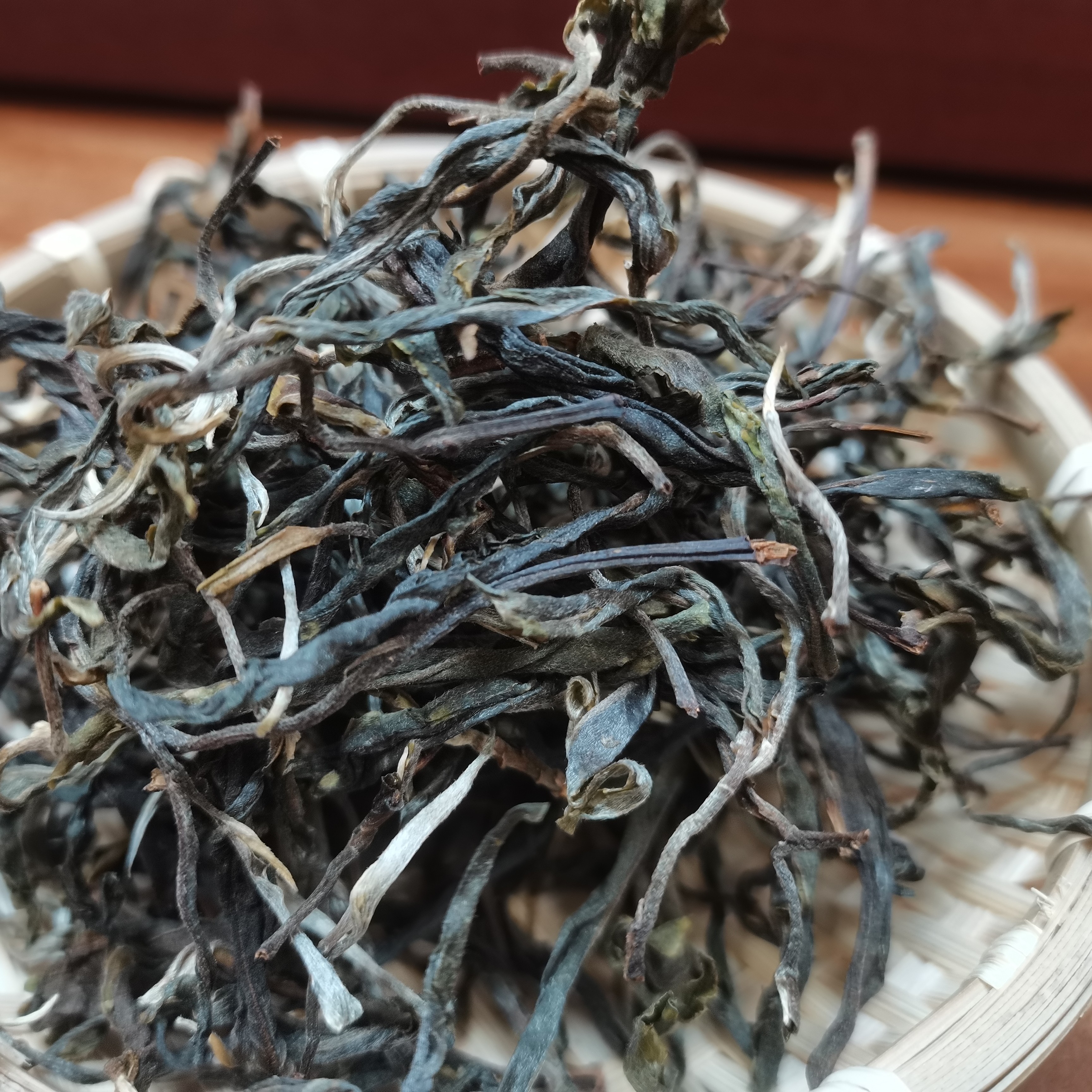 昔归忙麓山核心产区，冬茶大单株，高货分享