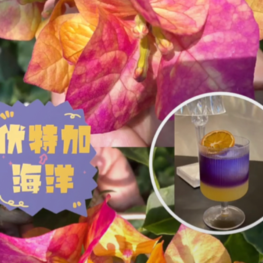 森朴【伏特加海洋】原生扦插袋苗（包对版不包售后）