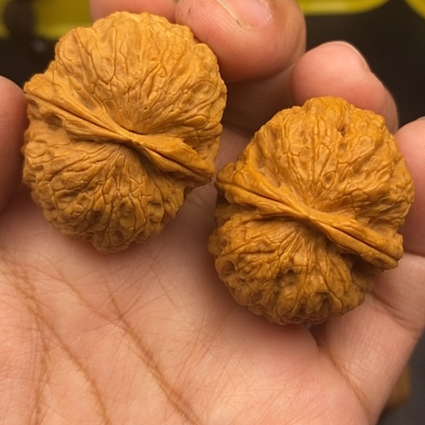 文玩核桃把件38尺铁狮子