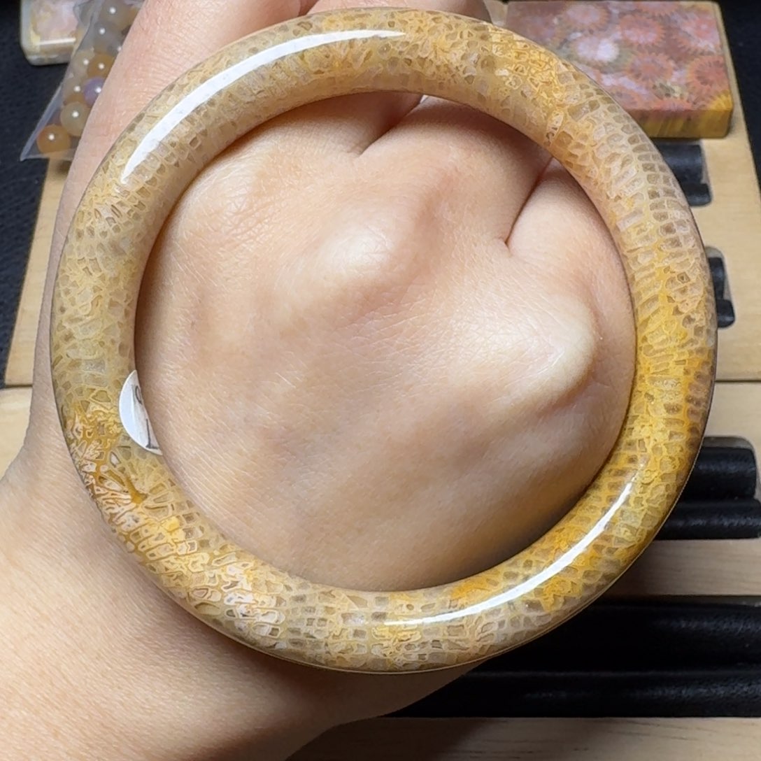 硅化玉57龙骨纹，可盘未镶嵌