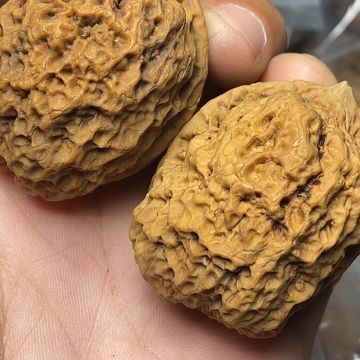 把件文玩核桃志成云铁文玩94
