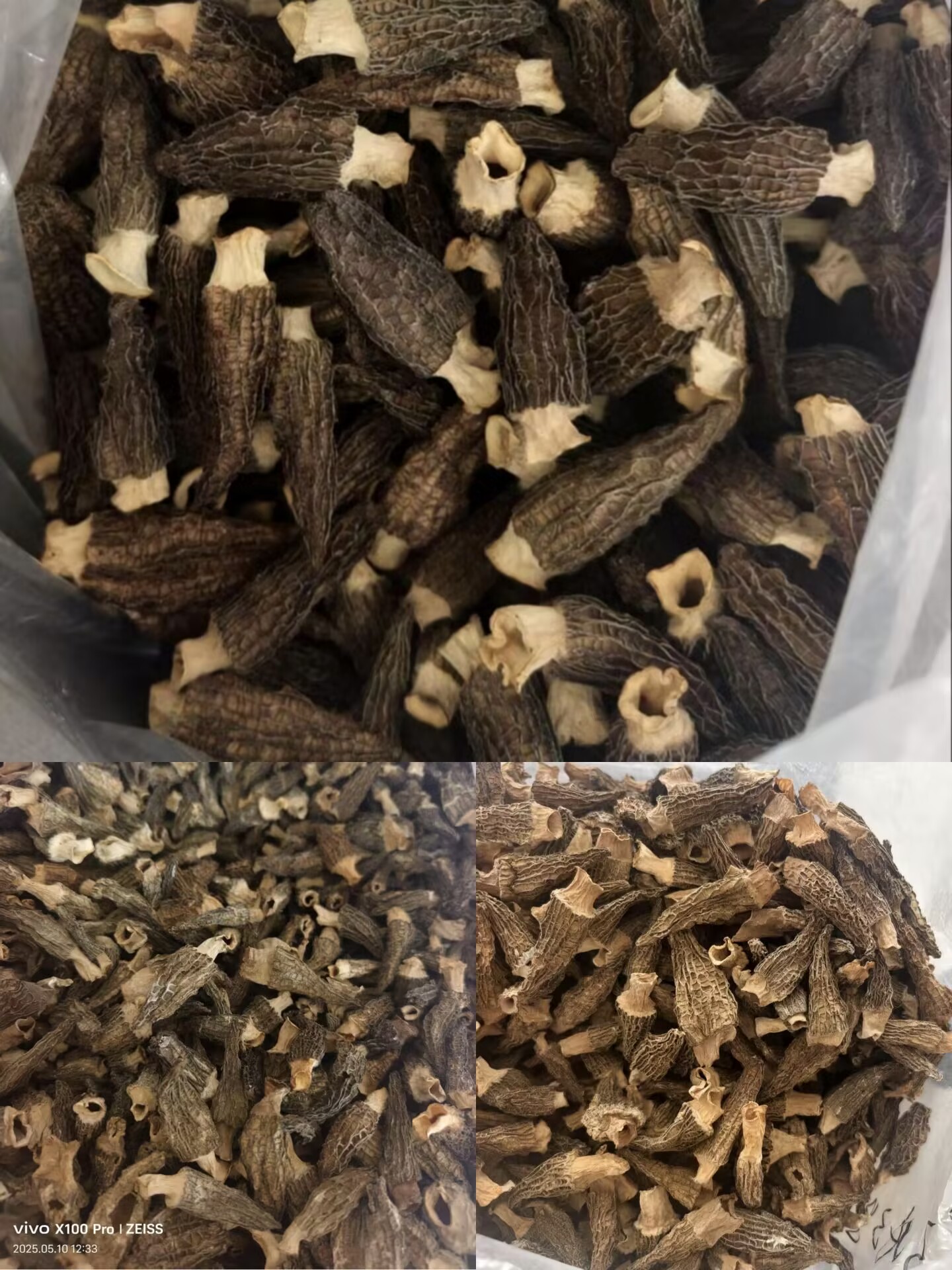 干羊肚菌羊肚菇羊肚菜炖汤营养又美味