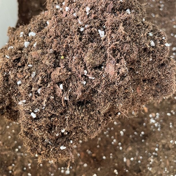 3个型号土合集。育苗土/中颗粒/粗颗粒。进口品氏泥炭配方土链接