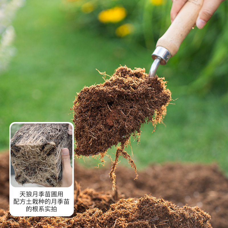 天狼月季栽培基质配方土绣球铁线莲专用营养土通用椰糠有机肥