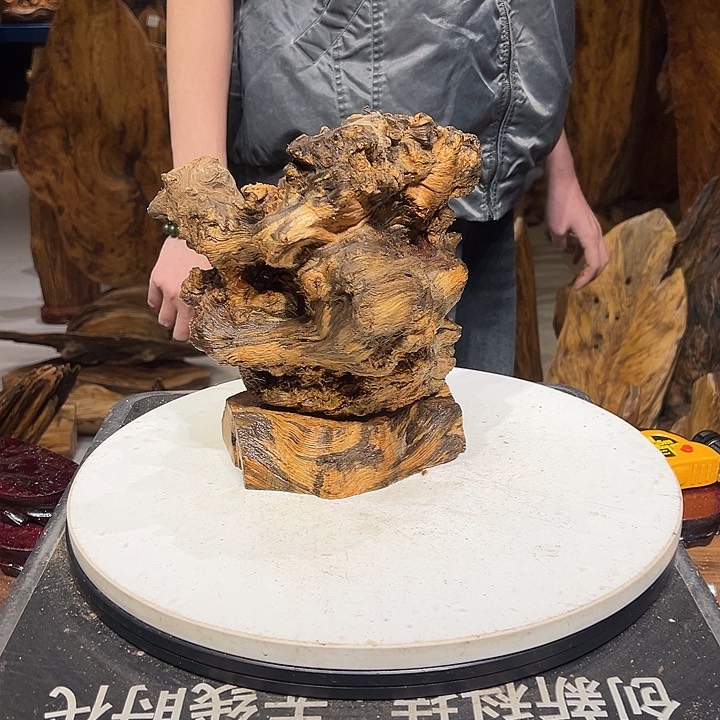 松木（琥珀木）毅****）