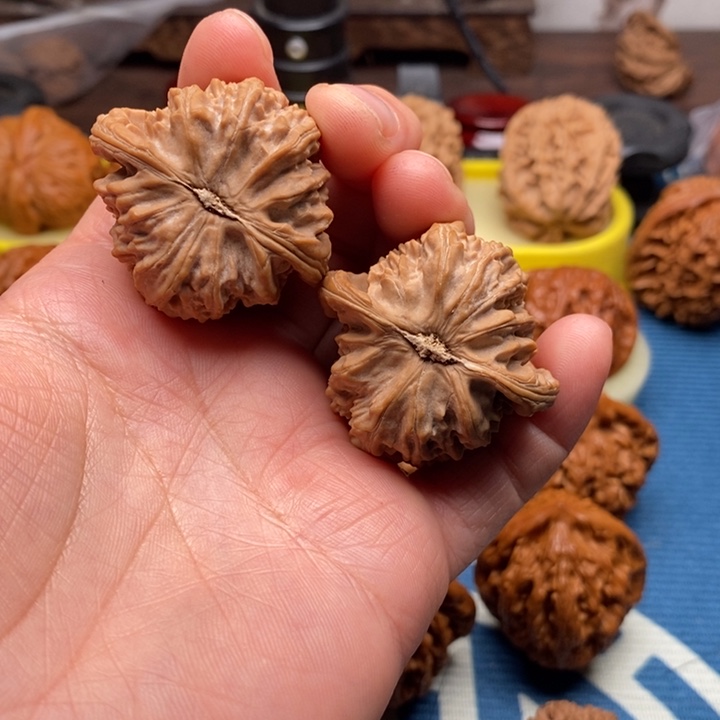 霁***昂文玩核桃把件白狮子