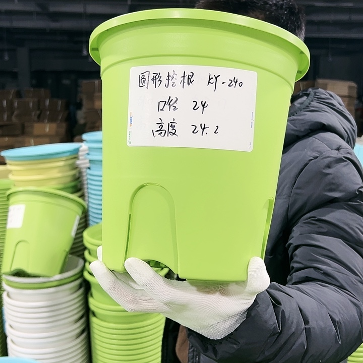 正品圆控口24高24果绿8只无托