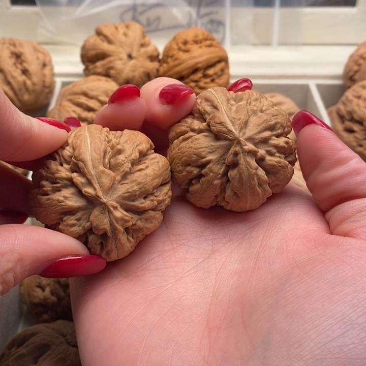 爱***O把件文玩核桃霸王龙