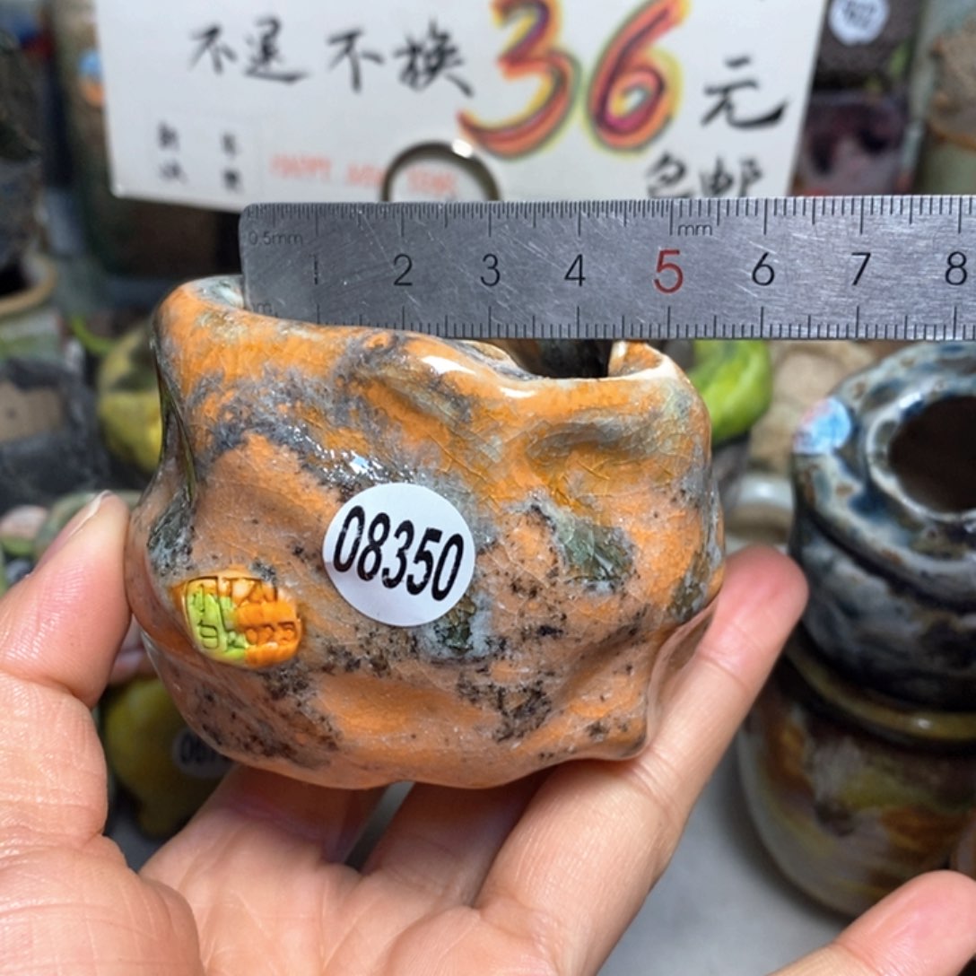 元旦活动花盆，不退不换的，原价66