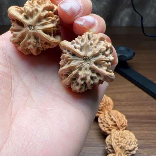 柏香籽/百香籽吊坠一**炒陕西秦岭秦闷狮子头