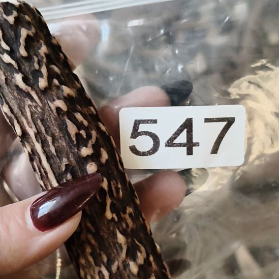 望***墨鹿角鹿角鹿角鹿角鹿角鹿角鹿角鹿角鹿角