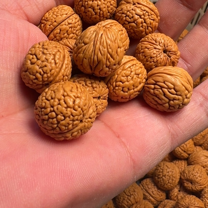 桃核吊坠龙鳞凤尾手串15里