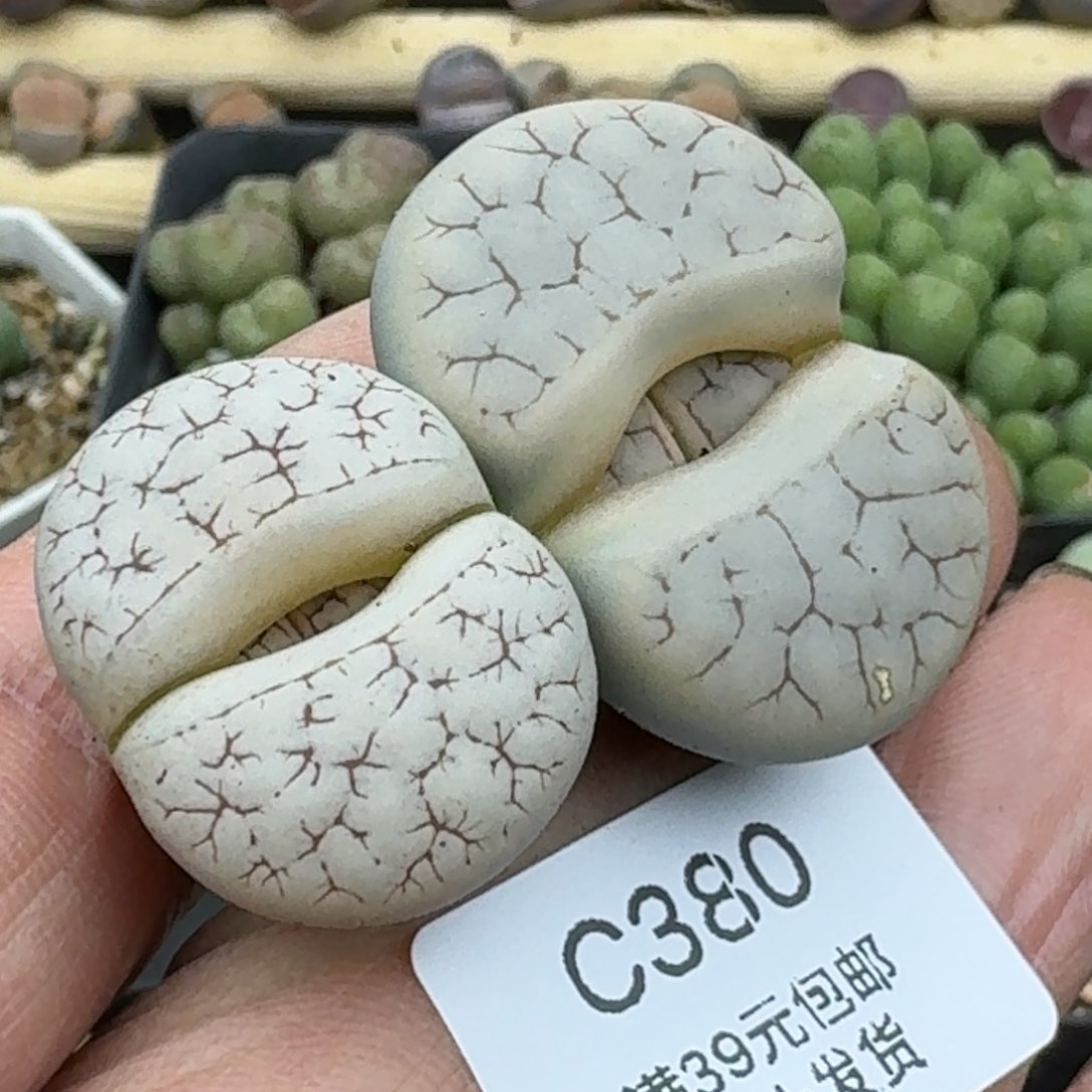 380哈哈哈哈哈哈哈哈哈哈