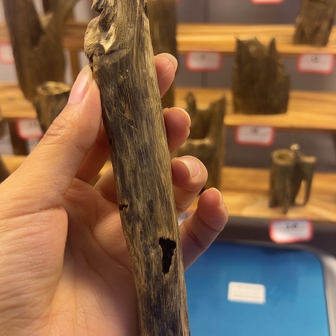 木质指天椒 16克 虫漏熏香 清甜、凉润感