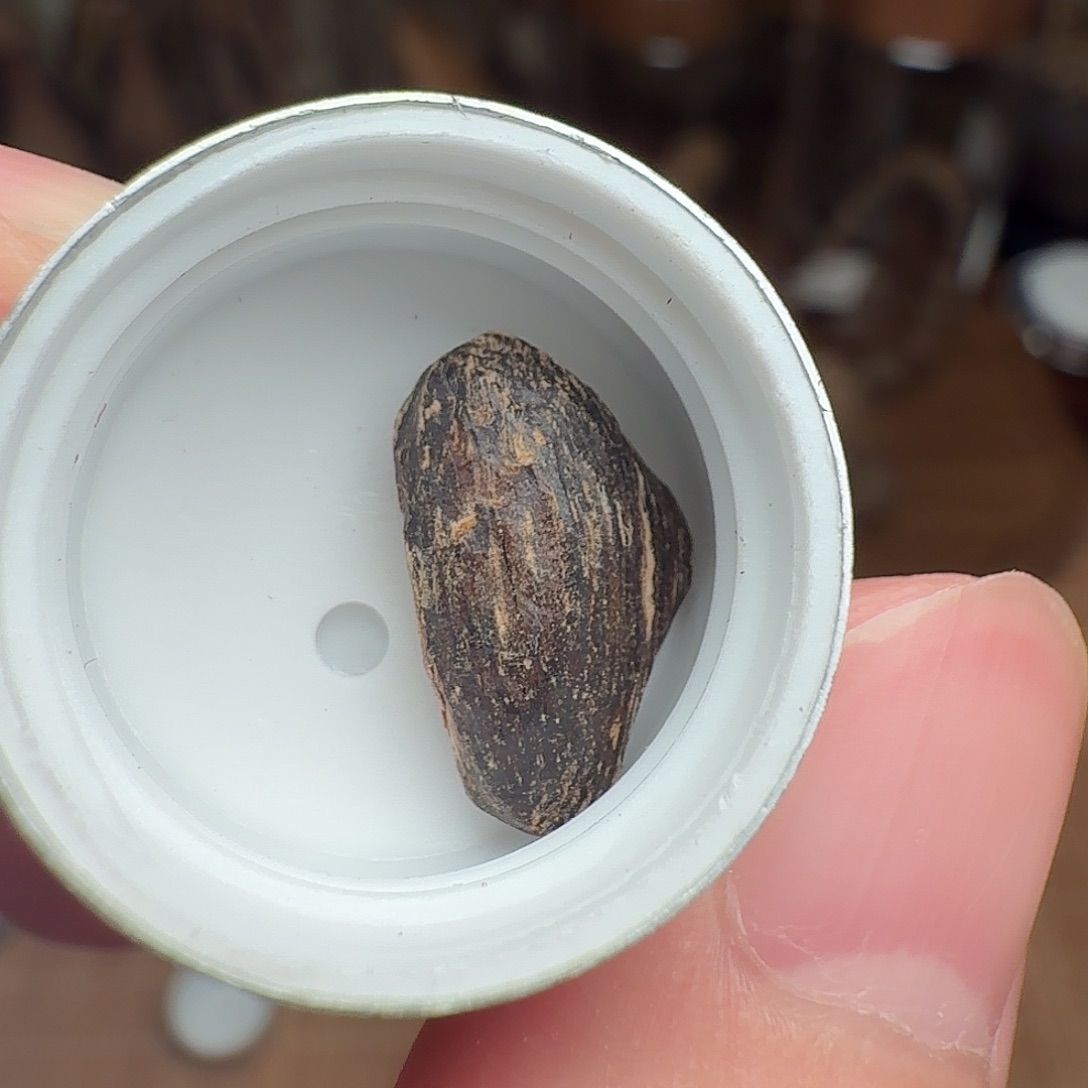 沉香西贡西贡棋韵瓜子