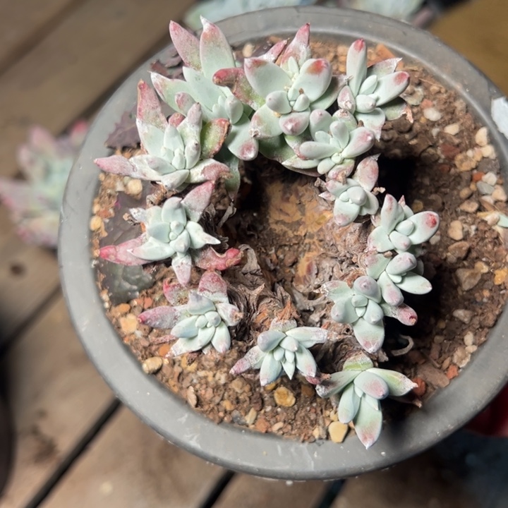 1922哈哈哈哈哈哈哈