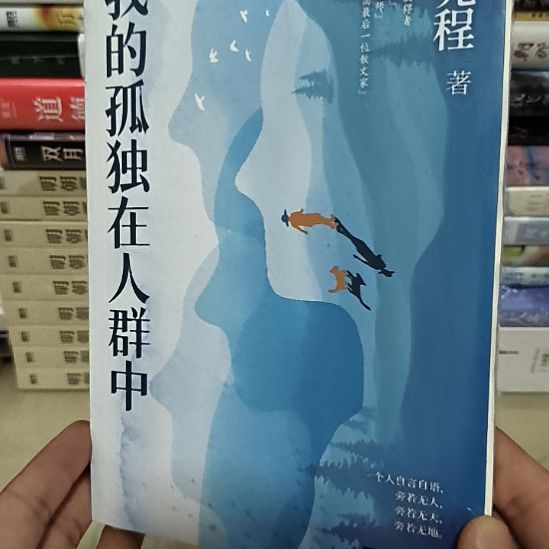 我的孤独在人群中，全新塑封
