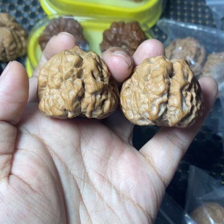 把件文玩核桃蛤蟆40全