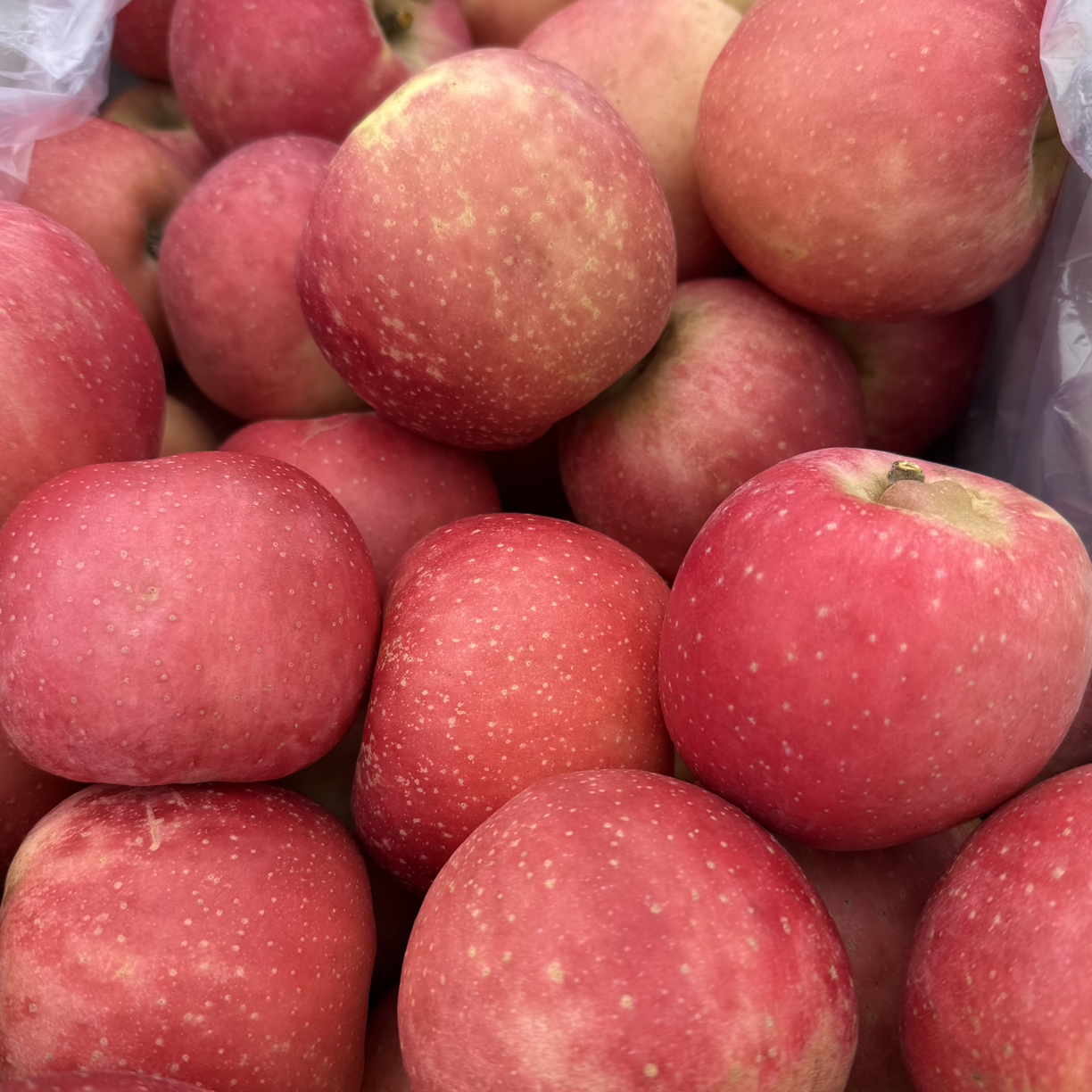 【生活馆】基地自产·有机斗南苹果·2斤装河北省