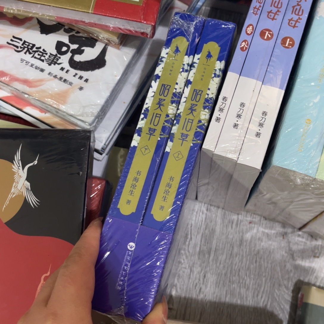 *****昭奚旧草两本一套