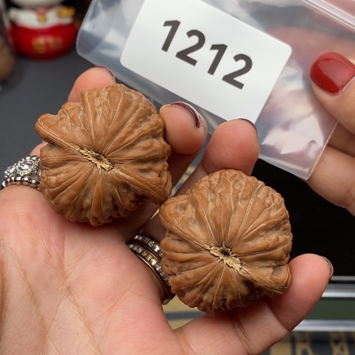 核桃41+红皮铁锤妹妹