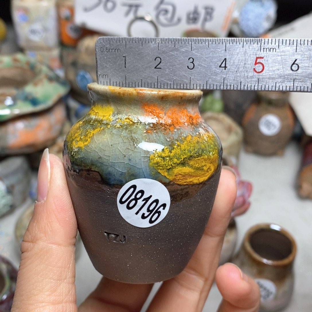花盆拍5送一个小礼物