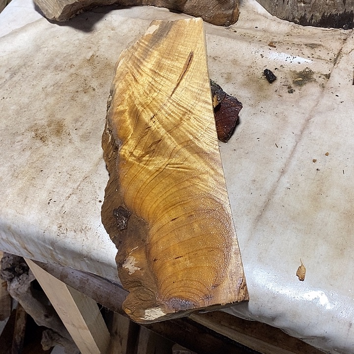 金丝楠木小叶桢楠木