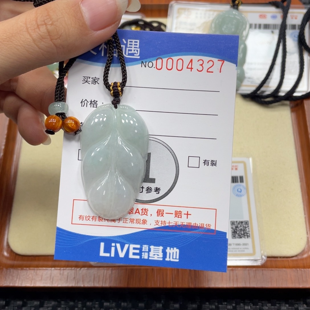 翡翠颈饰未镶嵌翡翠吊坠x 4327